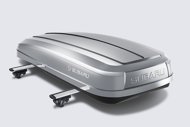 Roof Box Compact Silver
